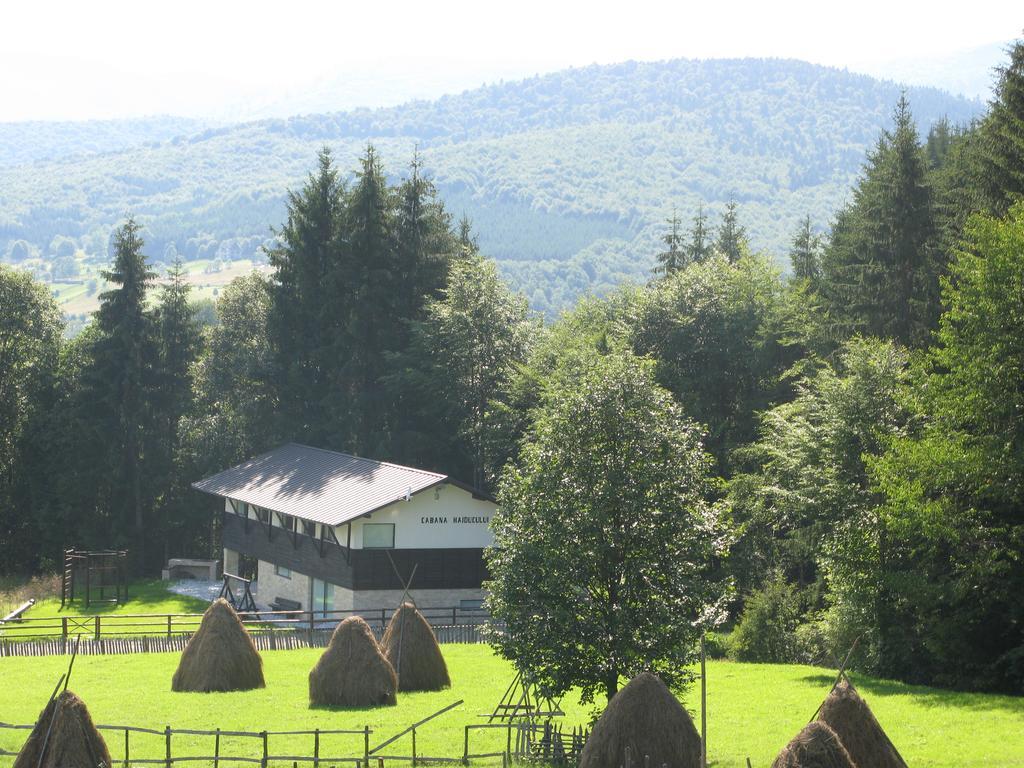 Cabana Haiducului Teşila Exterior foto